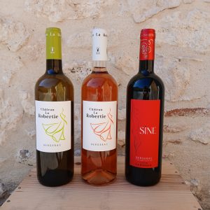 Offre de Printemps Taille S : 12 bouteilles